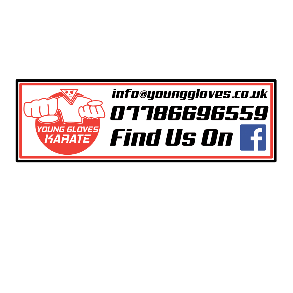 Young Gloves Window Car Sticker (Outside)