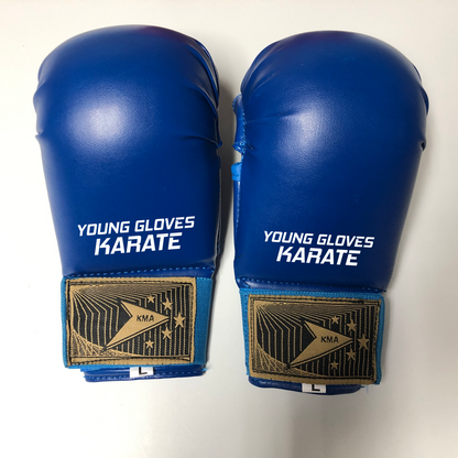 Young Gloves karate mits