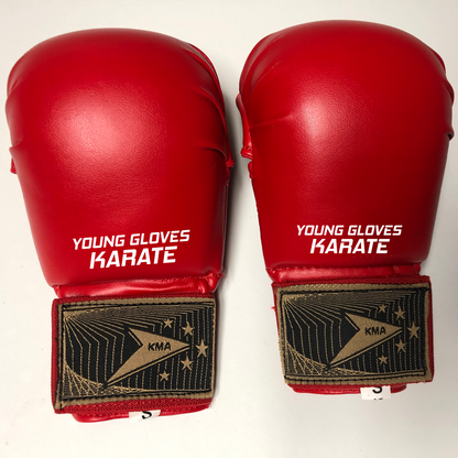 Young Gloves karate mits